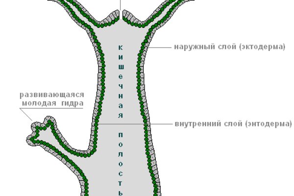 Кракен маркетплейс реклама текст